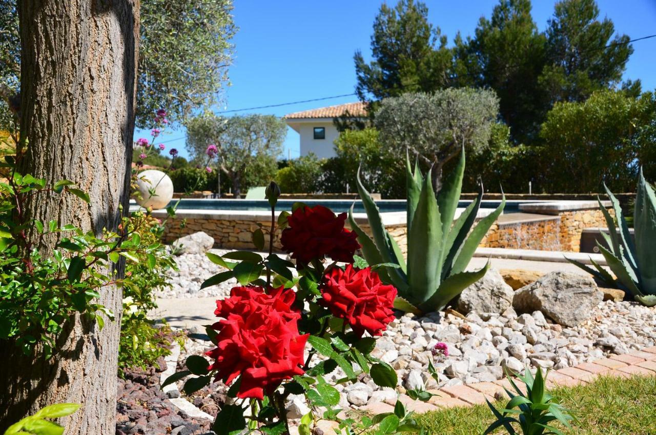 Appartements Du Jas De Clare La Cadiere-d'Azur Eksteriør bilde